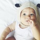 도리도리 이미지