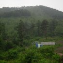 힐링팬션 이미지