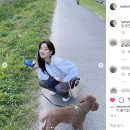 나은가방