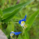 화남어린이집 이미지