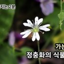 ＜정충화의 식물이야기＞ 가는장구채 편 이미지