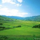 그림처럼 이미지