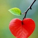 하고산경로당 이미지