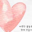 별숲미디어