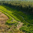 섬진강대나무숲길 이미지