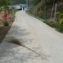 태산농장2 이미지