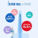 스카이런(sky run) 이미지