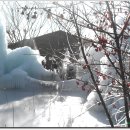 산수얼음