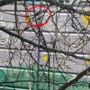 파파앤드류 이미지