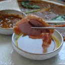 꿀참나무 이미지