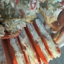 구룡포시장 화장실(신협 뒤) | 구룡포 시장 대게 맛집 가족 모임 장소 참맛대게전문점 후기