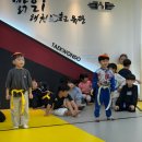 올바른i태권도 이미지