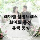 레이첼하우스 | [W-드레스 18] 「레이첼」 촬영드레스 후기 (화이트 풍성, 유색 풍성)