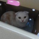 양지세탁 이미지