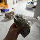 부모님 몸보신으로 단단푸드염소고기로 염소수육 만들어 드린 후기 (염소수육 만드는방법)