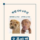 케렌시아 이미지