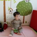 디자인스킨 - 안양시 동안구 동안로 130 | 디자인스킨