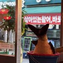 불타는왕십리 | [왕십리역 맛집] 우기식당 바다점 | 숙성회 한상차림과 분위기 좋은 실내포차 후기