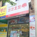 코코호도석동점 네이버블로그
