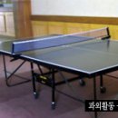 베스트유학원 이미지