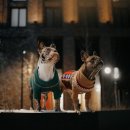 경수축산 이미지