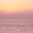 도연가든 이미지