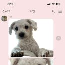 수원-1391 이미지