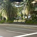 태수아쿠아 | 제주 프리다이빙&amp;아쿠아리움 다이빙/게 하_프리 폴링/너의 바다