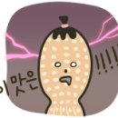 국민주먹고기 이미지