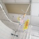 이화힐약국 | 이대목동병원 골절 철심 제거수술 시기 / 수술 후기 / 수술비용