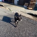 대야재래시장 이미지