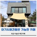 해인카페 | 평택 최금갤러리 해인카페 아기 동반,애견 동반 가능(야외 좌석,단체,보드게임)