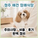 하나애견 | 청주 애견 장례식장 고민 끝내기│강아지 장례 주의사항부터 비용, 후기, 추천까지 한 글에