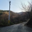 365민박 Daum카페