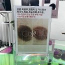 부산 사직동 1분만에 제거 가능한 눈썹 문신제거 잔흔 제거 후기(1차) 뽀블링스칼프