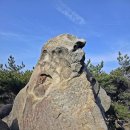 8월29일 토요당일 울산 마골산 염포전망대(동축산) 이미지