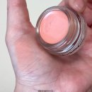 (주)네츄럴프로 | 맥 멀멀 무화과 아이섀도우 쿨톤에게도 어울릴까? 발색 비교, 내돈내산 후기