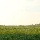 서강목장 이미지