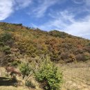 황금사슴농장 이미지