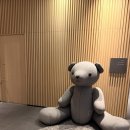 신라슈퍼 - 제주시 성신로 15 | 신라스테이 여수 후기, 수영장 무료입장, 어메니티