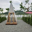 수달1985 이미지