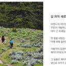 캠퍼의방앗간 이미지