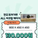 햄스터 분양 햄스터월드 이미지