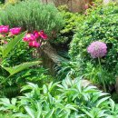 무지개삼성약국 이미지