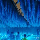 도화분회경로식당 | 부천 아이와 가볼만한곳 추천! 밤이 더 아름다운 부천루미나래 도화몽 후기