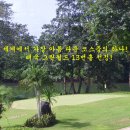 그린월드트래블 이미지