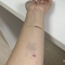 헌터양궁카페 이미지
