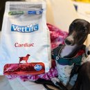 하나벳 | 벳라이프 파미나 강아지 처방식사료 카디악 심장사료 심장병 코비 후기