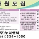 쎌텍 이미지