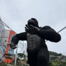 킹콩게임랜드 | [여수/안산동] 최대규모 롤글라이더 유월드 루지 테마파크 다녀왔어용| 여수 가볼만한곳